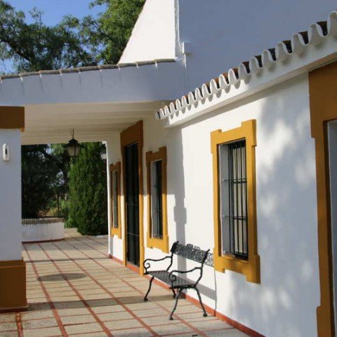 Pintura Exterior